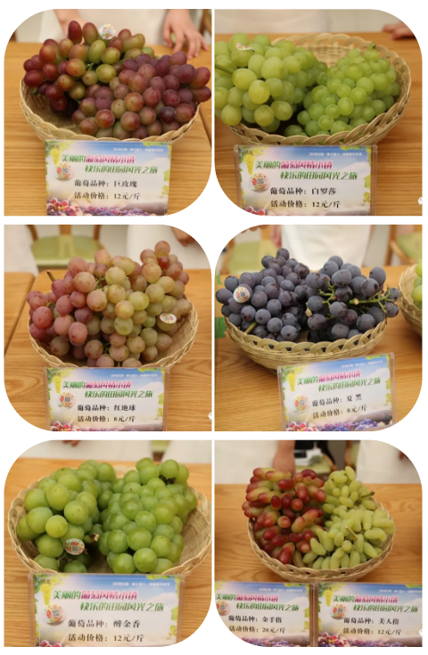 QQ截图20180730000355.png